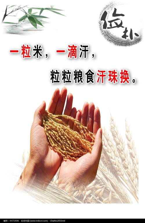 马里昂军事学院经济学文凭证书